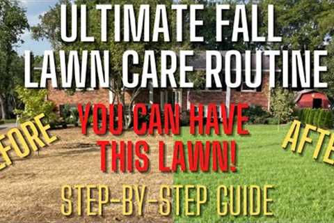 Cool Season Fall Lawn Care Schedule: 2022
