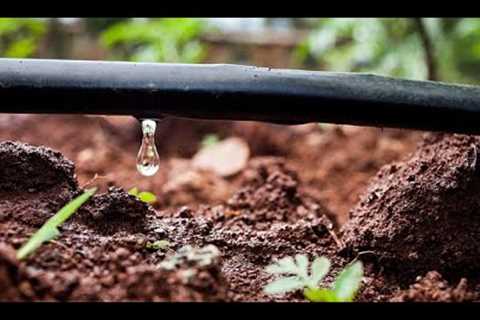 Webinar: Irrigation Check-up and Maintenance