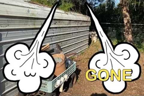Safe from Ian. New Product Review. Revisit Disabled Vet's Overgrown Yard