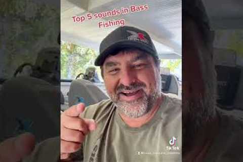 Best Sounds in Bass Fishing No. 5 😎 #shorts #fishing #bassfishing