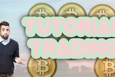 POTENTIALLY SEE SHIB RALLY UP BITCOIN INSURANCE CRYPTO UNTIL THIS DATE BITCOIN INSURANCE CRYPTO