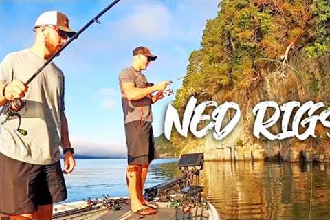 NED RIG FISHING In The Fall/Winter Months To Catch MORE BASS!