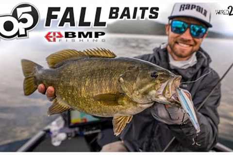 Top 5 Fall Bass Fishing Lures | Palaniuk's Favorites