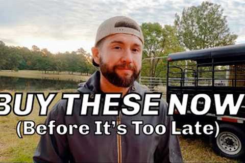 15 Items To BUY &amp; STOCKPILE NOW From WALMART - PREPPING 101 Food Shortage &amp; Supply Chain..