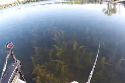 Bass Fishing a SUPER CLEAR Lake