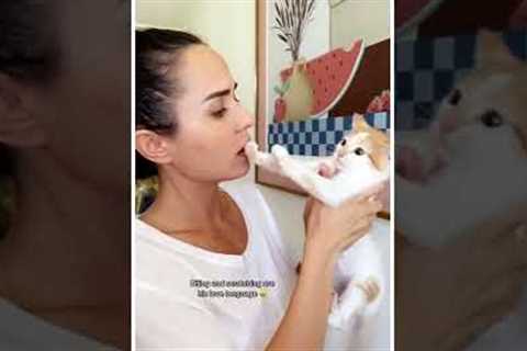 Best Funny Cats Viral Clips😹|| #funny Cute Cats #shorts Video😂|| #trending #animals #reels