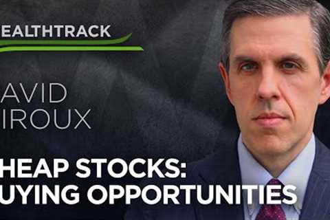Stocks Are Cheap: Contrarian Stock Buys