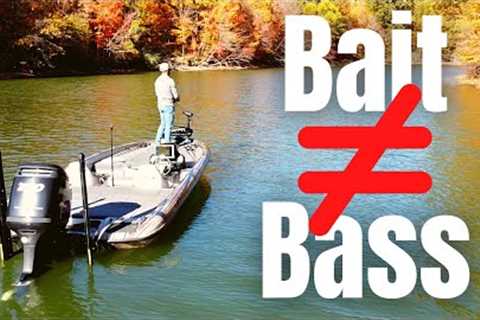 2 Misconceptions About FALL BASS FISHING (Fall Fishing Tips)