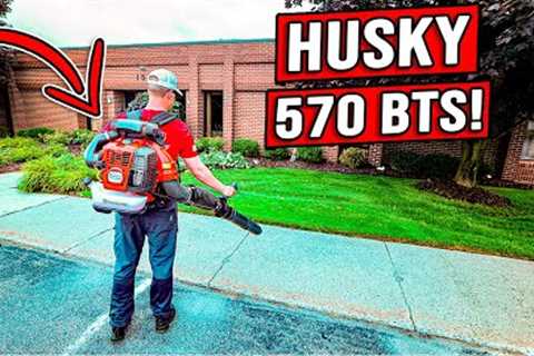 One Of The BEST Leaf Blowers For FALL CLEANUPS!