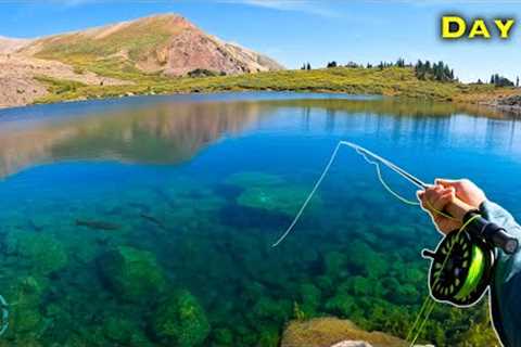 Fly Fishing the BEST LAKE IN THE WORLD?? (Big Trout Everywhere)