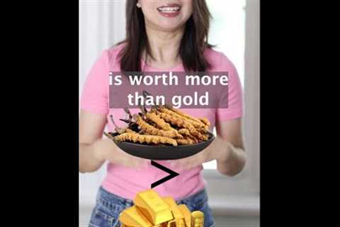 Do you know this traditional Chinese medicine is worth more than gold? | Cordyceps