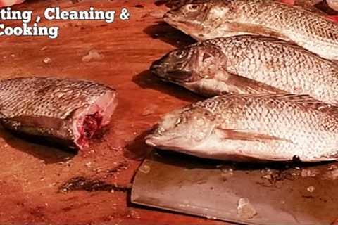 Fish Cooking | Big fish cutting &amp; cooking | Fish cutting &amp; cooking video |Cutting Cleaning..