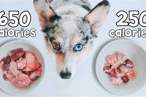 Raw Food Meal Sizing For Dogs Explained