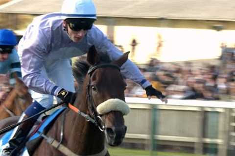 Run For Oscar romps home in the Cesarewitch at Newmarket