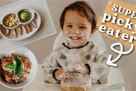 What My *SUPER* Picky 1 Year Old Eats in a DAY! + My secret to getting him to eat a variety of foods