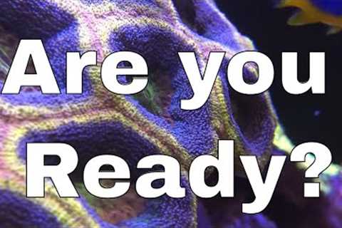 5 Tips for BEFORE you Start a SALTWATER TANK