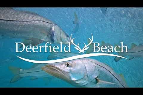 LIVE - Underwater Camera - Deerfield Beach, FL USA