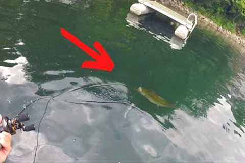 You Can ALWAYS Catch a Bass HERE!! (Year Round)