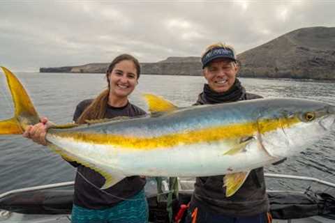 GIANT Yellowtail! FISH of a LIFETIME! Catch, Clean &amp; Cook! California Fishing!