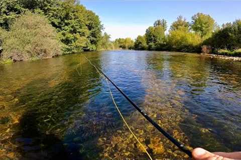 Fly Fishing Northern Spain for Brown Trout!