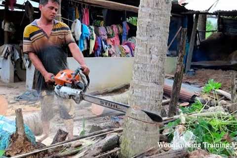 Incredible STIHL Chainsaw MS720 Felling Down Coconut Trees! Cut Down The Tree Quickly And Easy