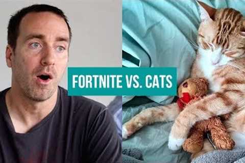 Cat Sitter App MEOWTEL or Video Game Studio PLAYFUL? — Finding the Next Big Investment