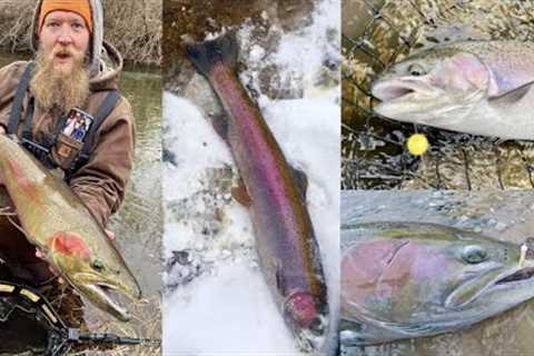 Where When &amp; How To Catch Steelhead In The River / Great Lakes Steelhead Life Cycle &amp; Habits