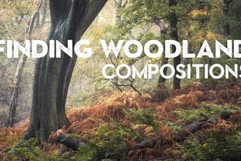 7 SIMPLE composition TIPS for WOODLAND PHOTOGRAPHY