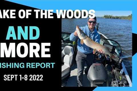 Lake of the Woods and MORE Fishing Report Sept 1-8 2022