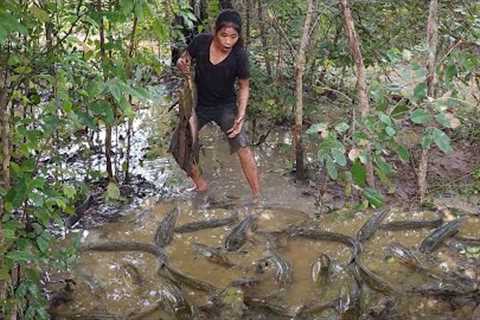Survival skills: Found a lot fish in flood forest for food- Grilled fish with chili sauce for dinner
