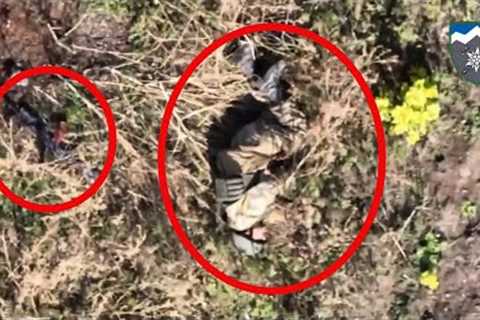 Ukrainian drone drops projectile on Russian military