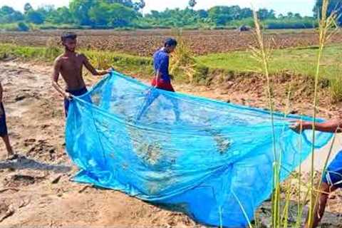 🐋🐋 Unique Catching Fish With Jal &amp; How To Cook Fish |  मछ्ली पकड़ने का तरीका जाल से | @Kaal..