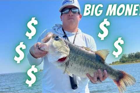 Easiest way to win BIG MONEY at a Bass fishing tournament! Lake Fork current report Oct 12, 2022