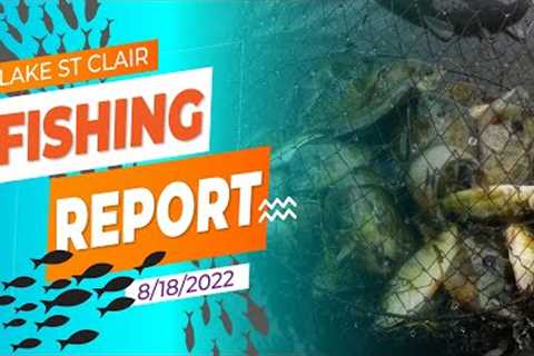 Lake St. Clair Fishing Report 8/18/2022