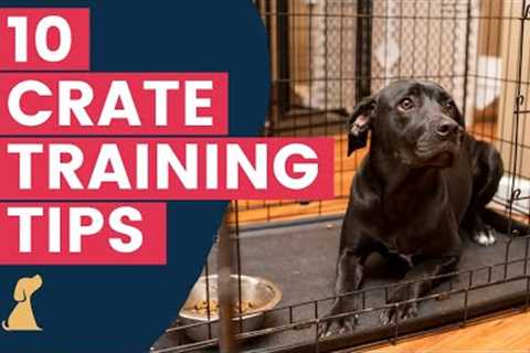 Crate Training Tips - 10 Hacks To Help Your New Puppy Love The Crate