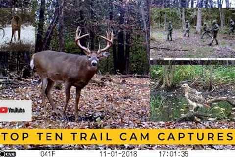 My 10 Most Memorable Trail Camera Videos