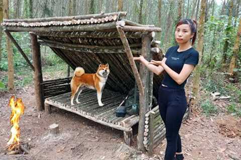 Bushcraft Skills : Build Survival Tiny House, Living Off Grid in a Forest  shelter, Diy Bed