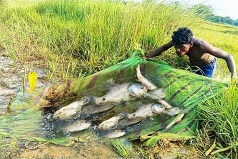 Catch Big Fish And Cooking Fish || Primitive Technology || Machli pakadne ka Tarika || Net Fishing
