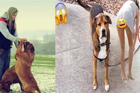Best Funny Animal Videos Of The 2022 🤣 - Funny Cats And Dogs Videos 😺😍