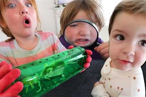 MOUSE in the HOUSE!! Detective Kids catch a baby animal! family birthday party with Adley Niko Navey