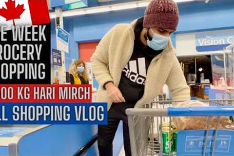 One Week Grocery Shopping in Canada |  ₹2500 KG Hari Mirch | Nova Scotia