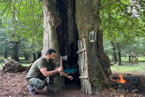 Building Complete And Warm Survival Shelter In The Trunk &amp; Bushcraft Tree House,Fireplace With..