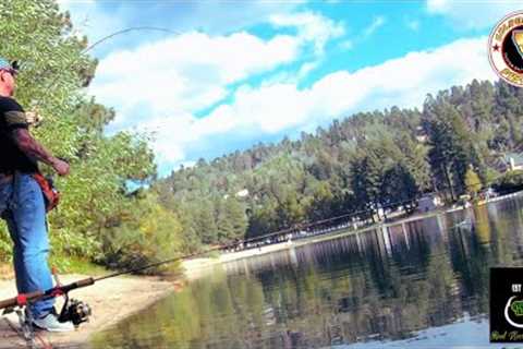 Trout Fishing with Mice Tails and PowerBait (How to and rig set up)