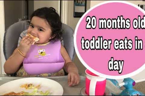 what my 20 months old toddler eats in a day|Healthy meal ideas for 16-20 months old