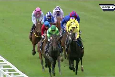 BAAEED beaten on final career start as Bay Bridge lands Champion Stakes