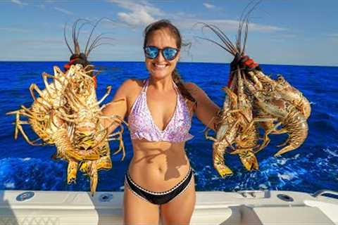 DIVING after HURRICANE! 1000s of LOBSTERS Migrating! Catch, Clean &amp; Cook!