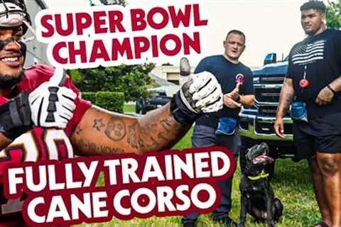 CANE CORSO PUPPY OFF-LEASH TRAINING - Feat. NFL PRO TRISTAN WIRFS