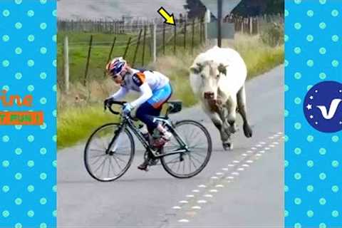 New Funny Videos 2022 😂 Cutest People Doing Funny Things 😺😍 #30