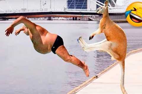 Funny Animals Video - Best Cats😹 and Dogs🐶 Videos of the Month 2022! #3