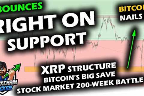 VOLATILITY TO END THE WEEK as Bitcoin Price Chart BOUNCES on Support, Altcoin Market Too, XRP Range